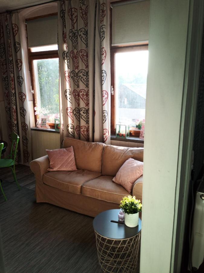 Bed and Breakfast Zur Friedrichsruh Oelsnitz  Экстерьер фото