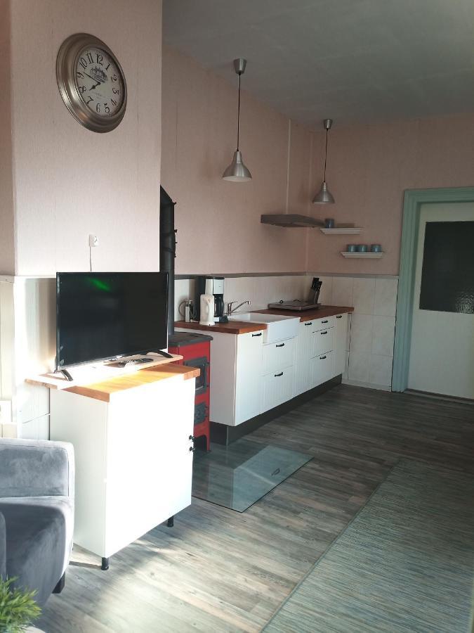 Bed and Breakfast Zur Friedrichsruh Oelsnitz  Экстерьер фото
